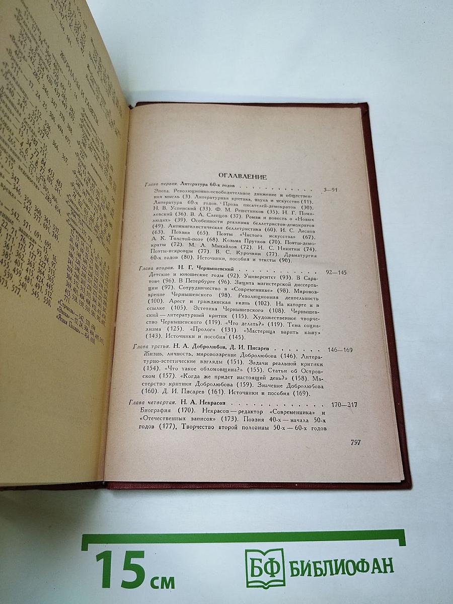 История русской литературы XIX века. Том II