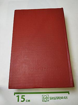 История русской литературы XIX века. Том II