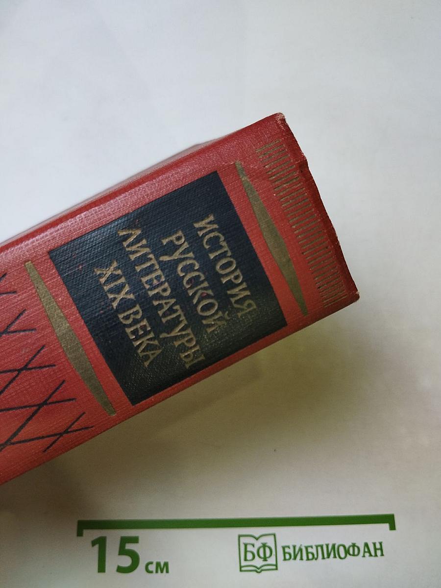 История русской литературы XIX века. Том II