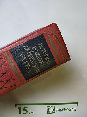 История русской литературы XIX века. Том II