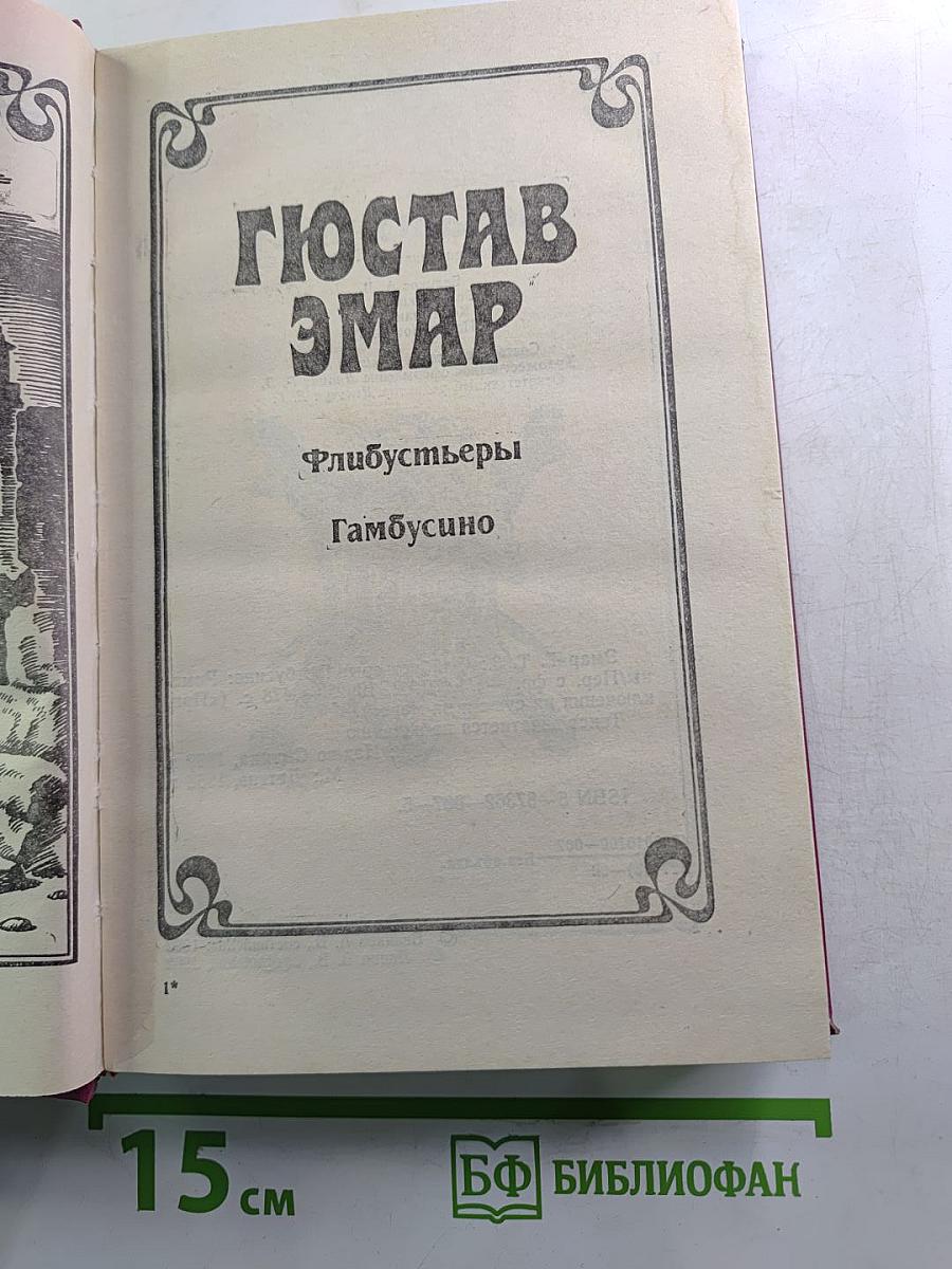 Флибустьеры. Гамбусино