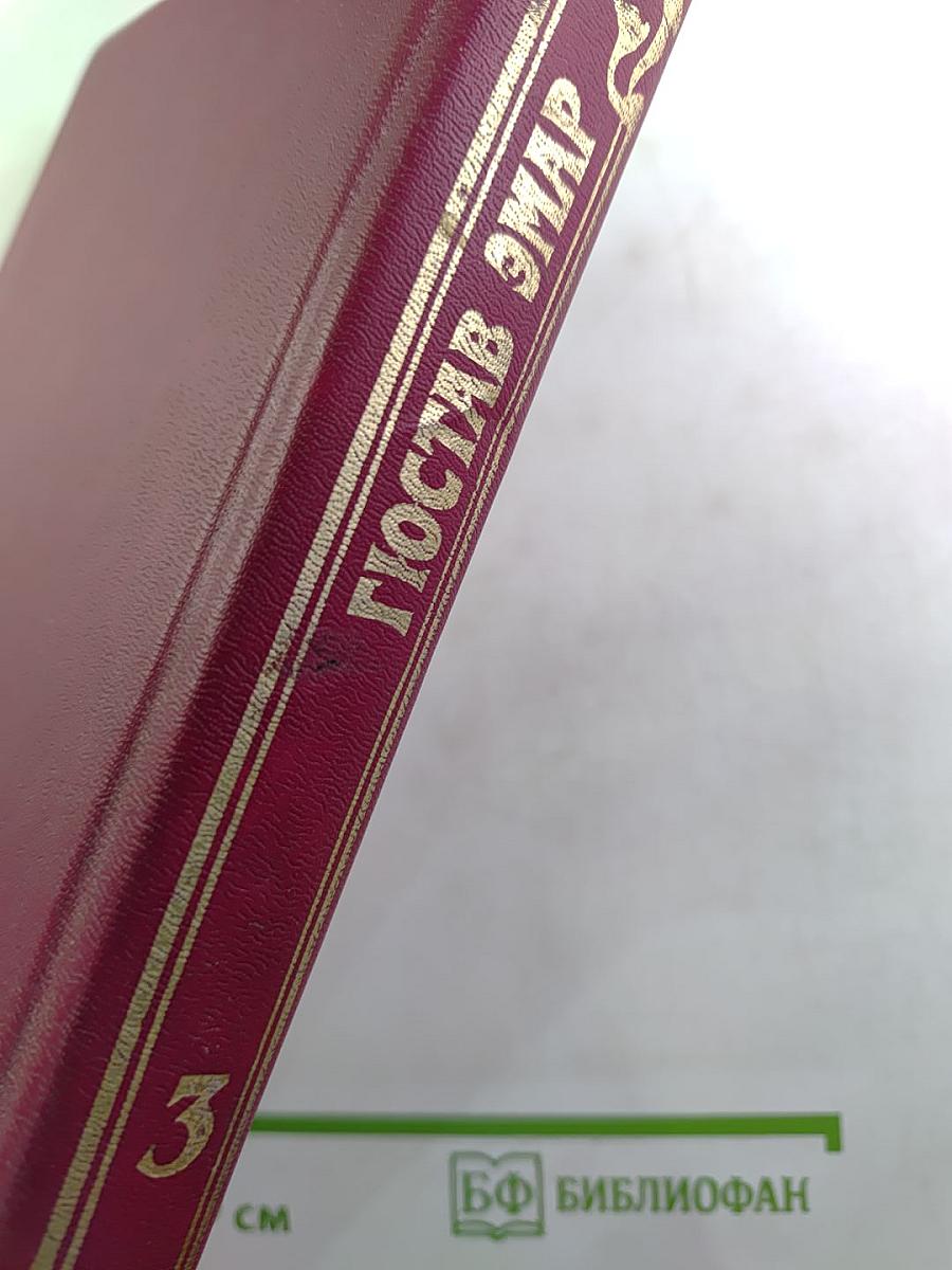 Флибустьеры. Гамбусино