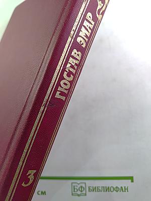 Флибустьеры. Гамбусино