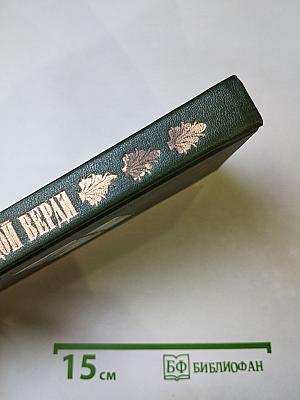 Молодой Верди