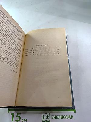 Чудаки. Хромой барин. Егор Абозов