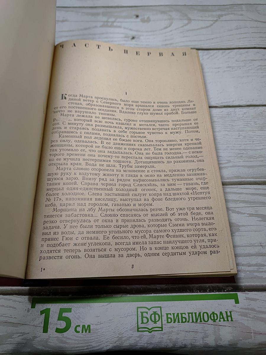 Звезды смотрят вниз