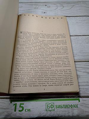 Звезды смотрят вниз