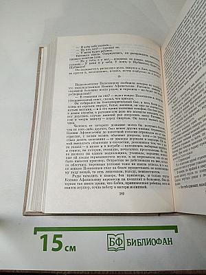 Первые радости. Необыкновенное лето