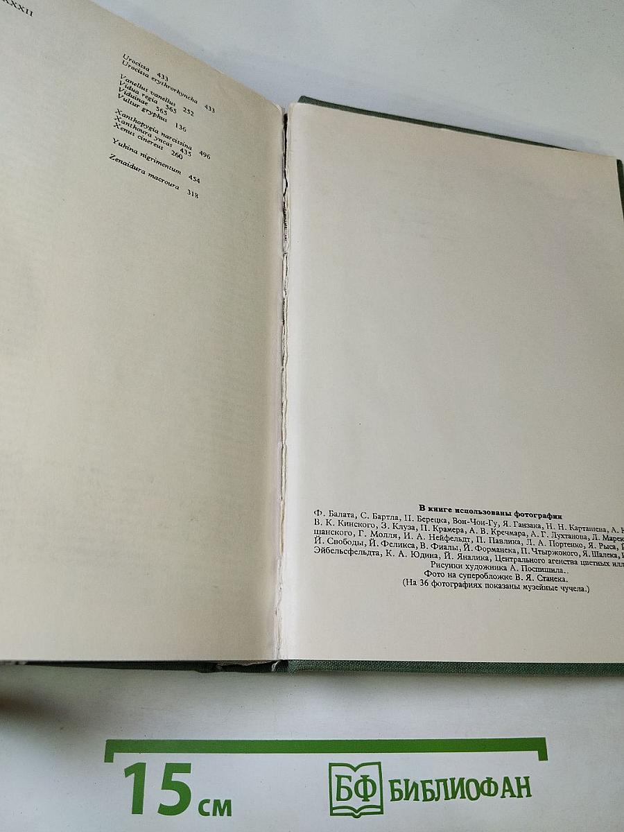 Иллюстрированная энциклопедия птиц