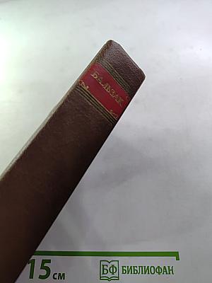Человеческая комедия. Том 4. Евгения Гранде, Прославленный Годессар, Музей древностей, Провинциальная муза