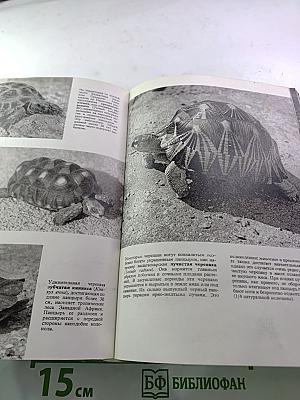 Иллюстрированная энциклопедия животных