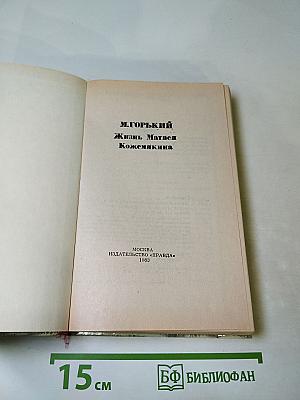 Жизнь Матвея Кожемякина