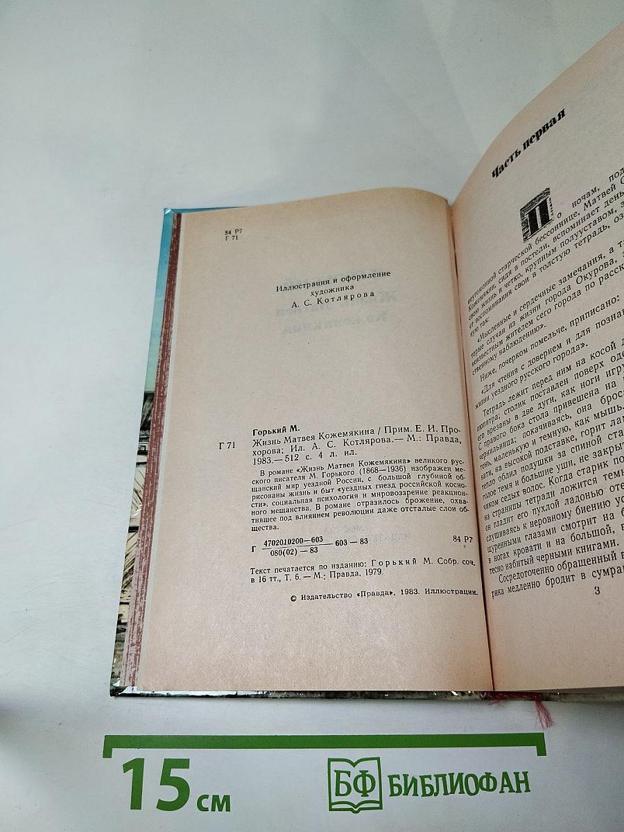 Жизнь Матвея Кожемякина