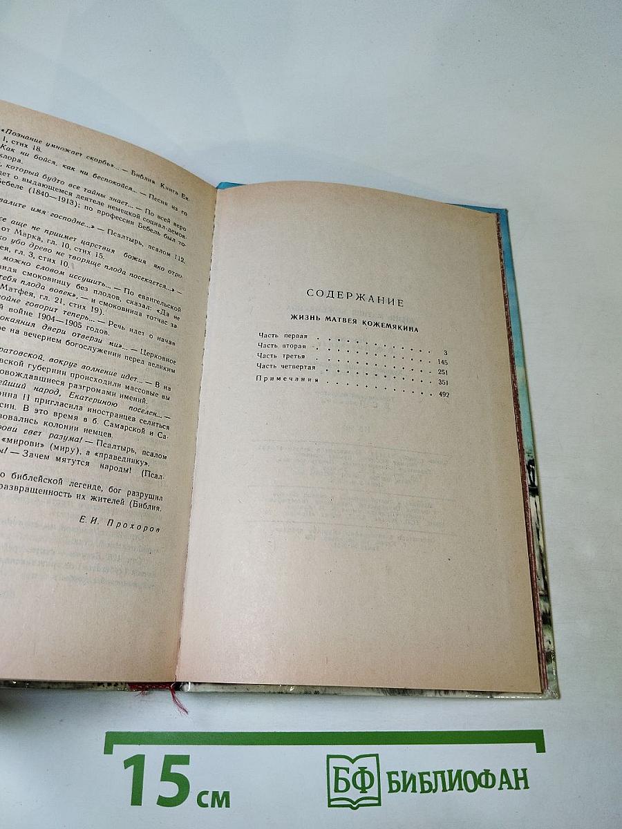 Жизнь Матвея Кожемякина