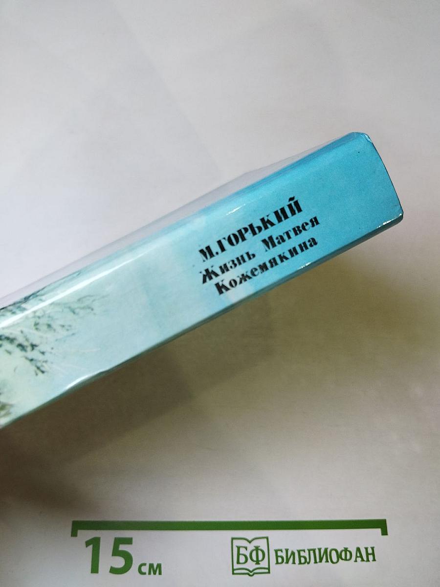 Жизнь Матвея Кожемякина