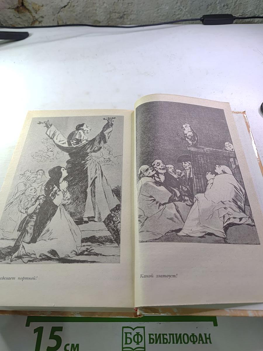 Гойя, или Тяжкий путь познания