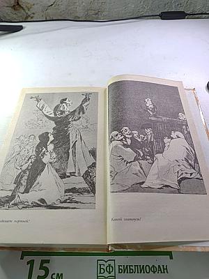 Гойя, или Тяжкий путь познания