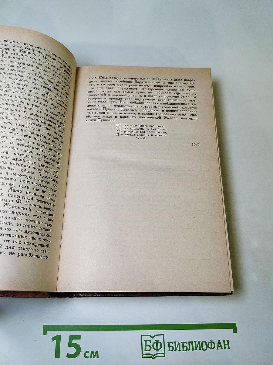 Светлое имя Пушкин