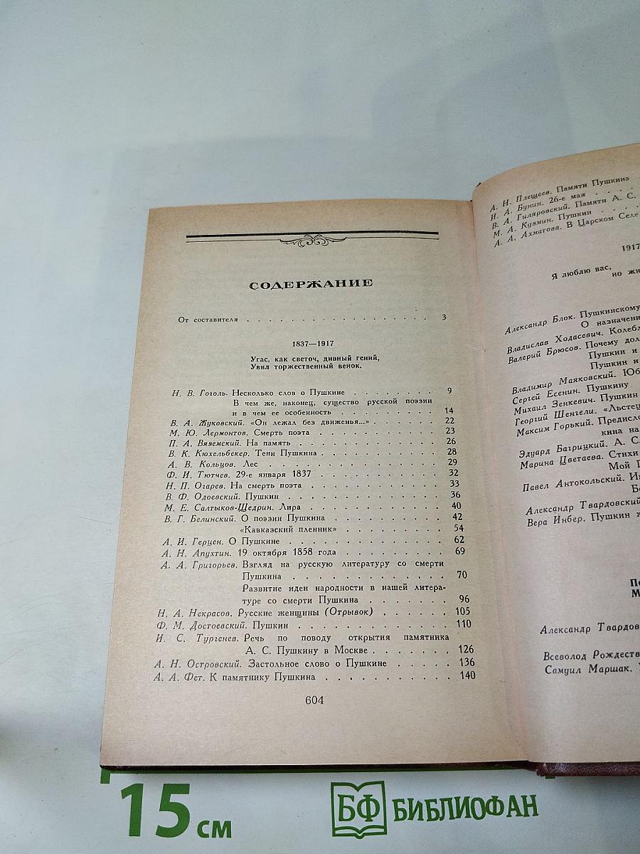 Светлое имя Пушкин