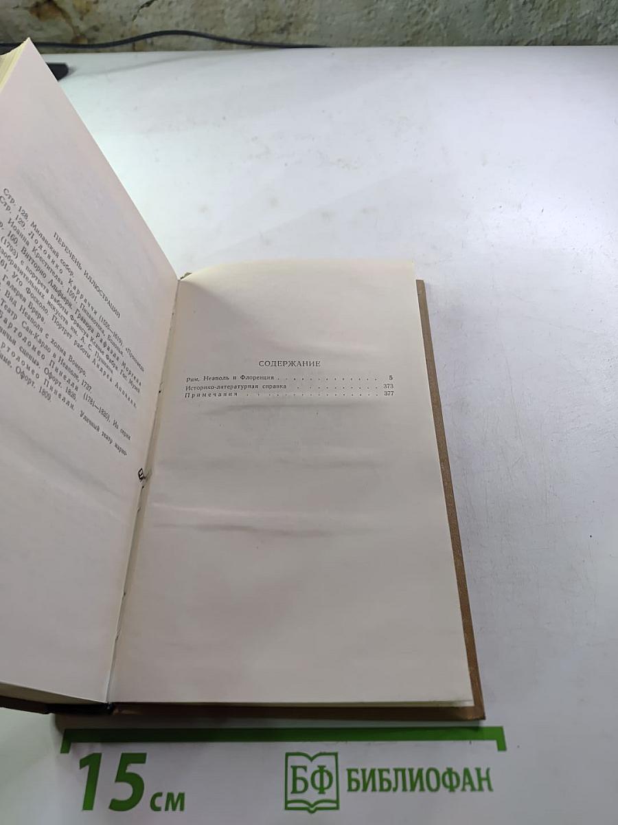 Собрание сочинений в пятнадцати томах. Том девятый. Рим, Неаполь и Флоренция