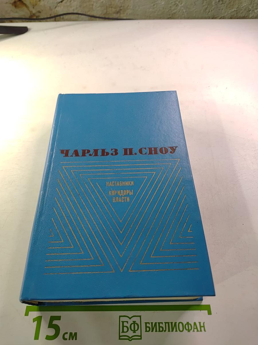 Наставники. Коридоры власти