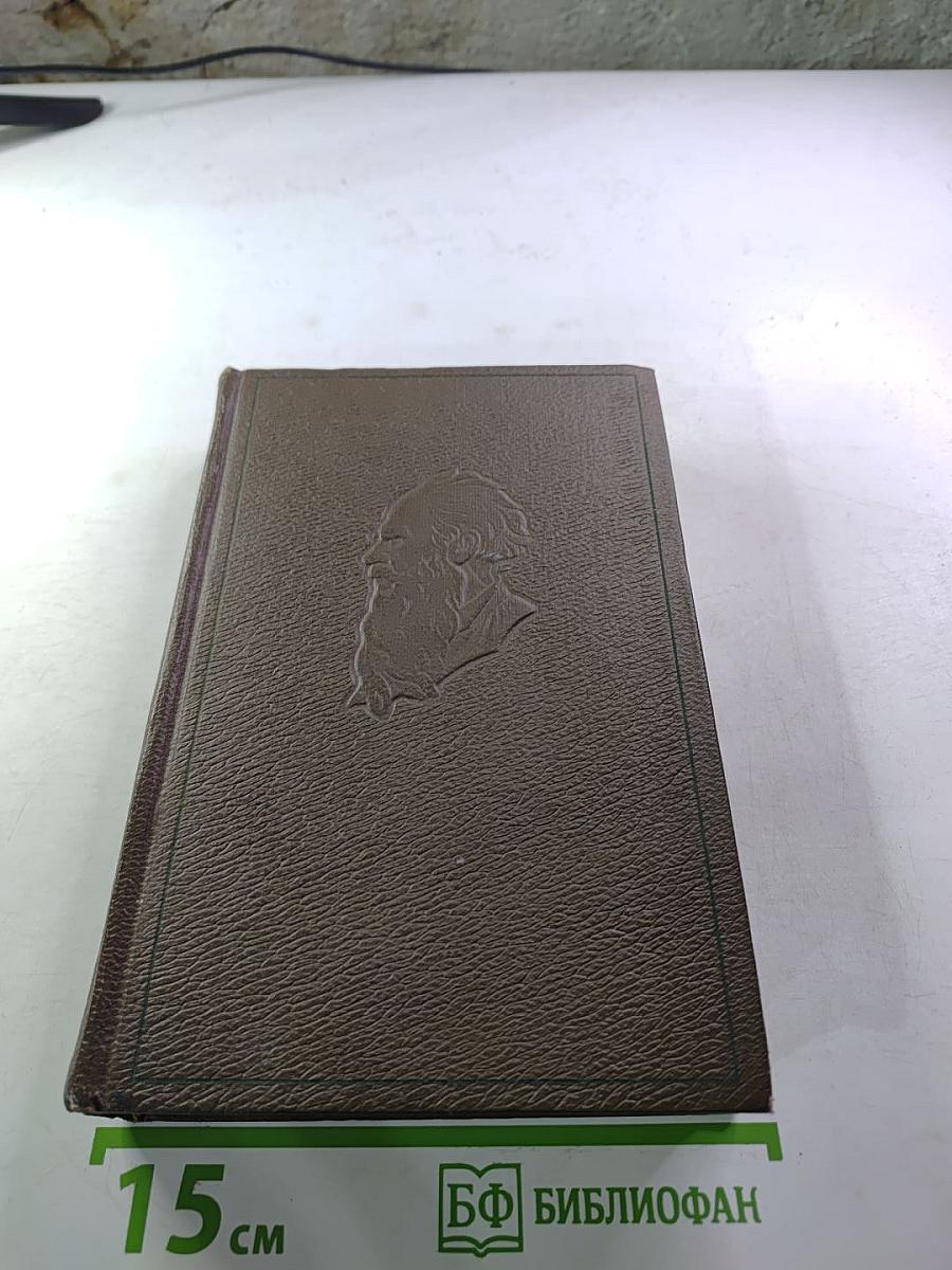 Собрание сочинений. Том девятнадцатый. Дневники 1847-1894 гг.