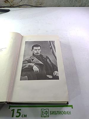 Собрание сочинений. Том девятнадцатый. Дневники 1847-1894 гг.