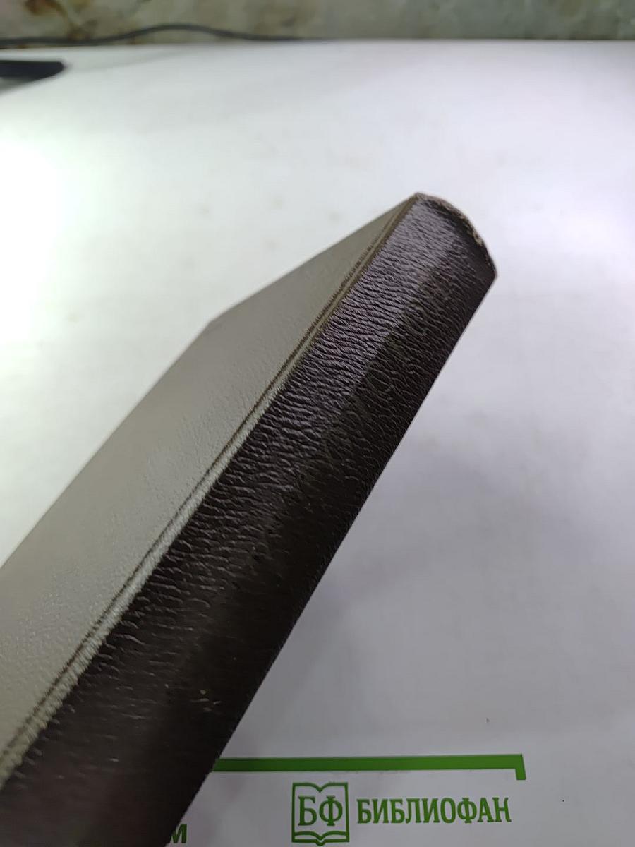 Собрание сочинений. Том девятнадцатый. Дневники 1847-1894 гг.