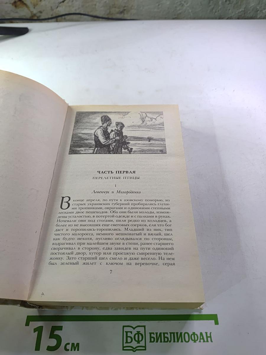 Беглые в Новороссии. Воля. Княжна Тараканова