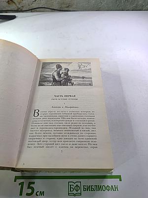 Беглые в Новороссии. Воля. Княжна Тараканова
