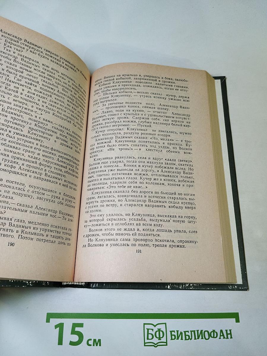 Чудаки. Хромой барин. Егор Абозов