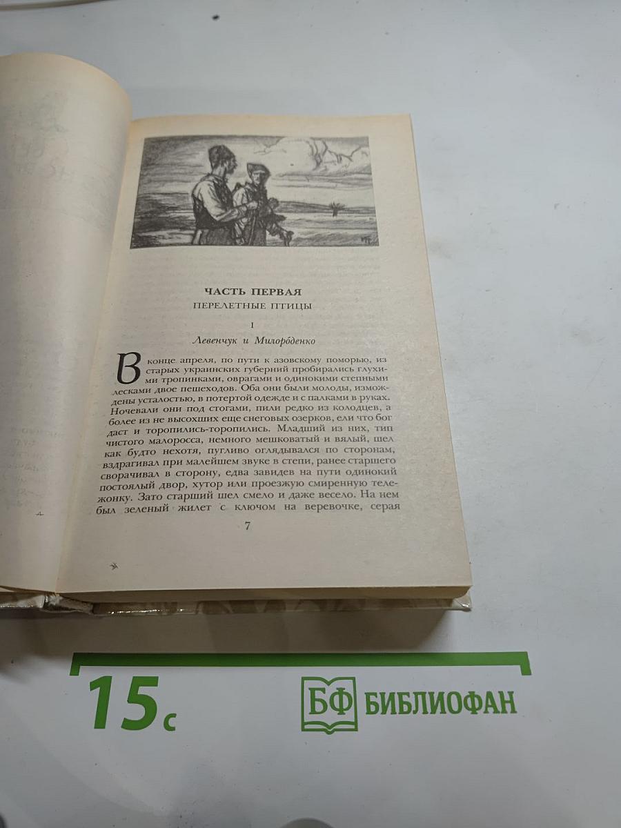 Беглые в Новороссии. Воля. Княжна Тараканова
