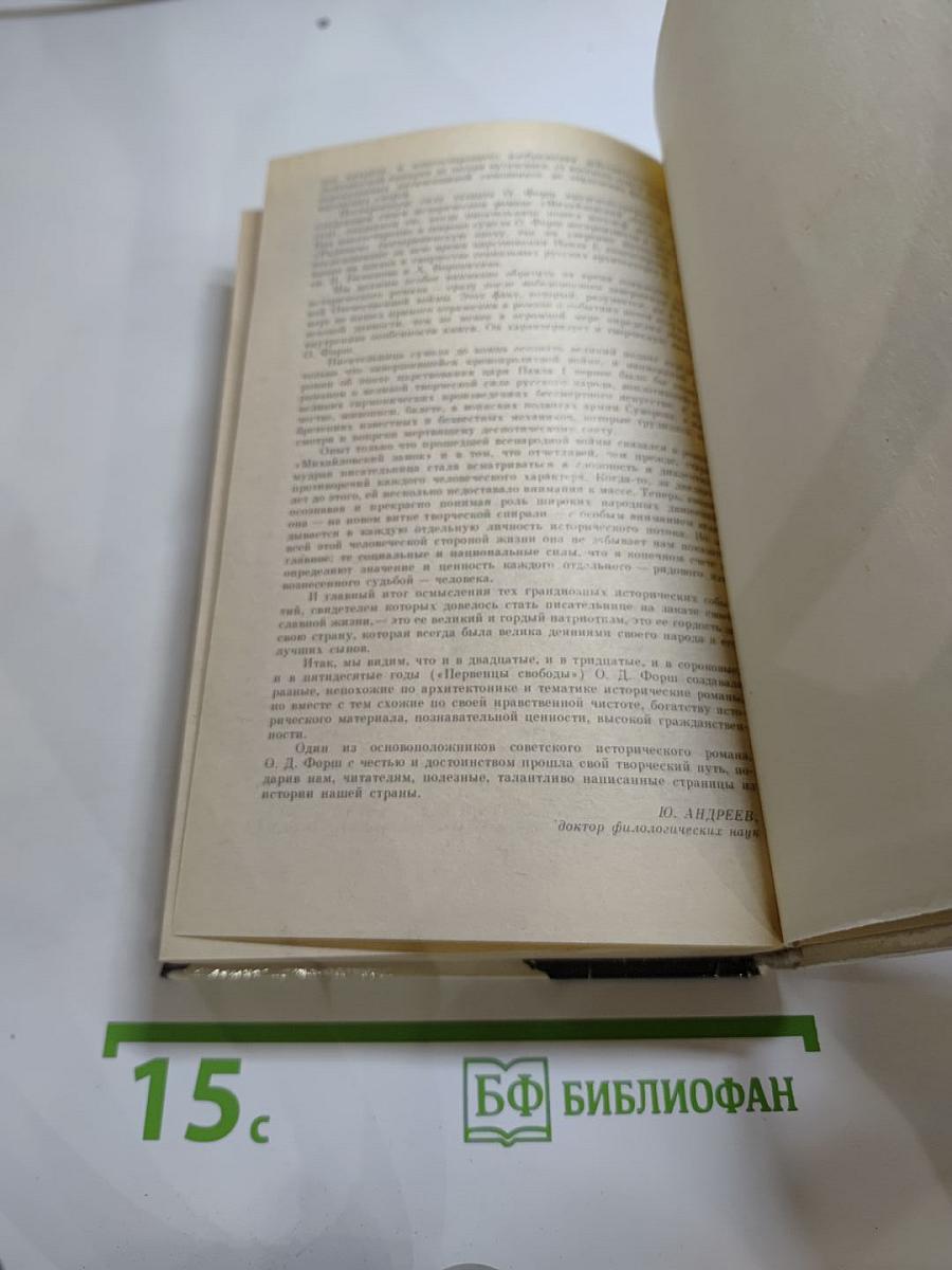 Одеты камнем. Радищев