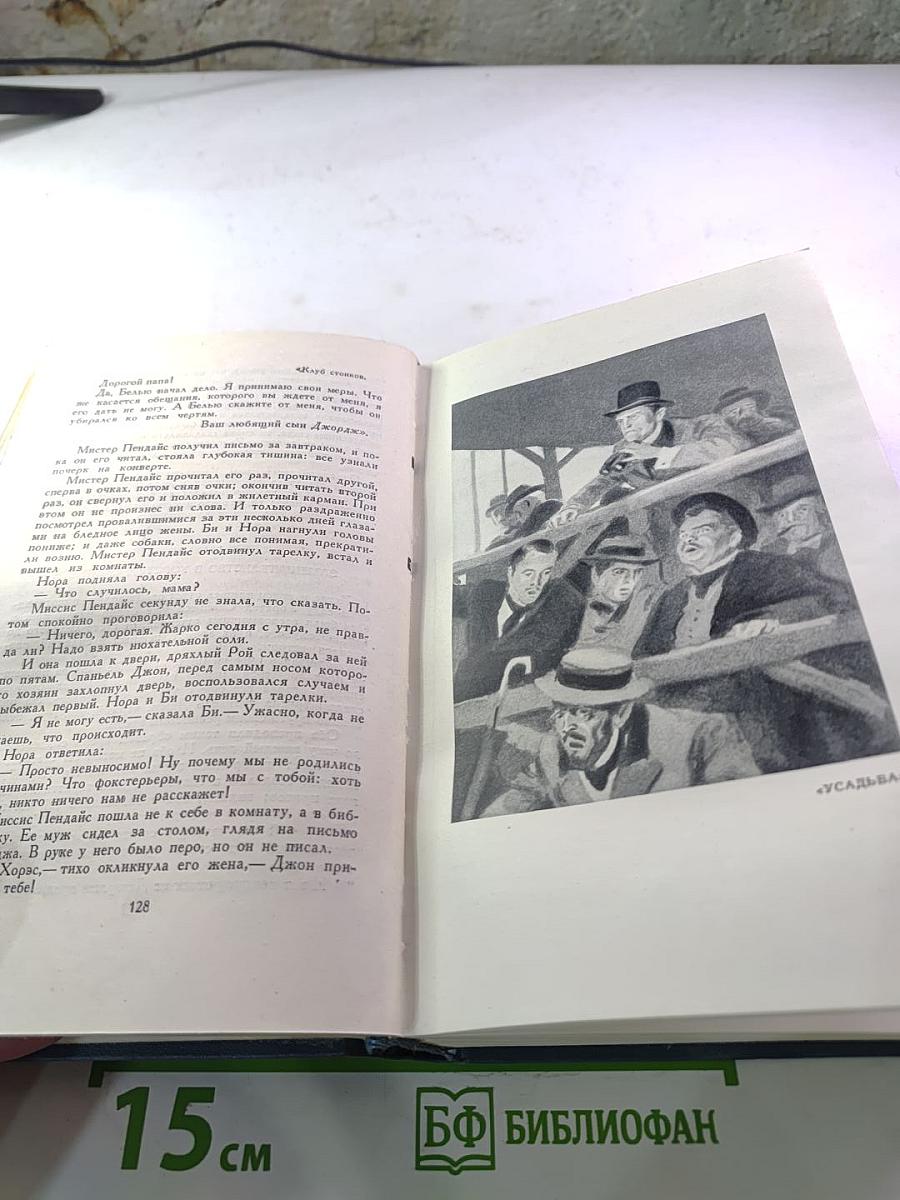 Собрание сочинений в шестнадцати томах. Том 6. Усадьба