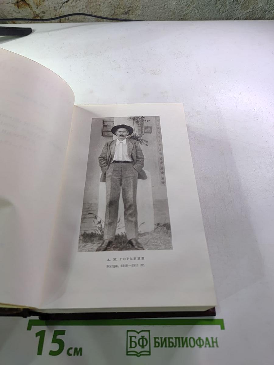 М. Горький. Собрание сочинений. Том десятый: Городок Окуров. Жизнь Матвея Кожемякина. Наброски