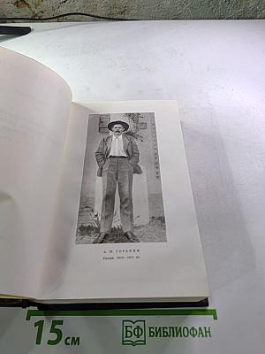 М. Горький. Собрание сочинений. Том десятый: Городок Окуров. Жизнь Матвея Кожемякина. Наброски