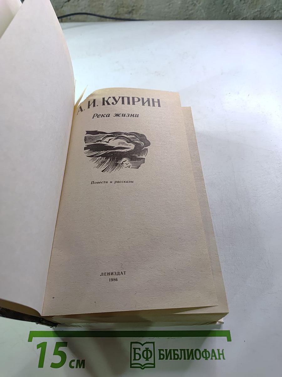 Река жизни: Повести и рассказы