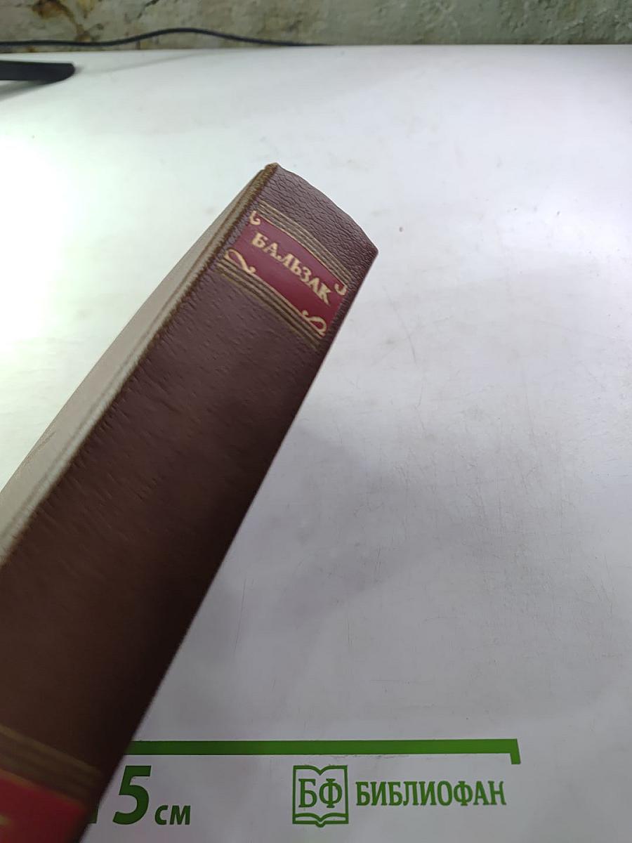 Оноре Бальзак. Очерки. Литературно-критические статьи. Избранные письма. Том 15