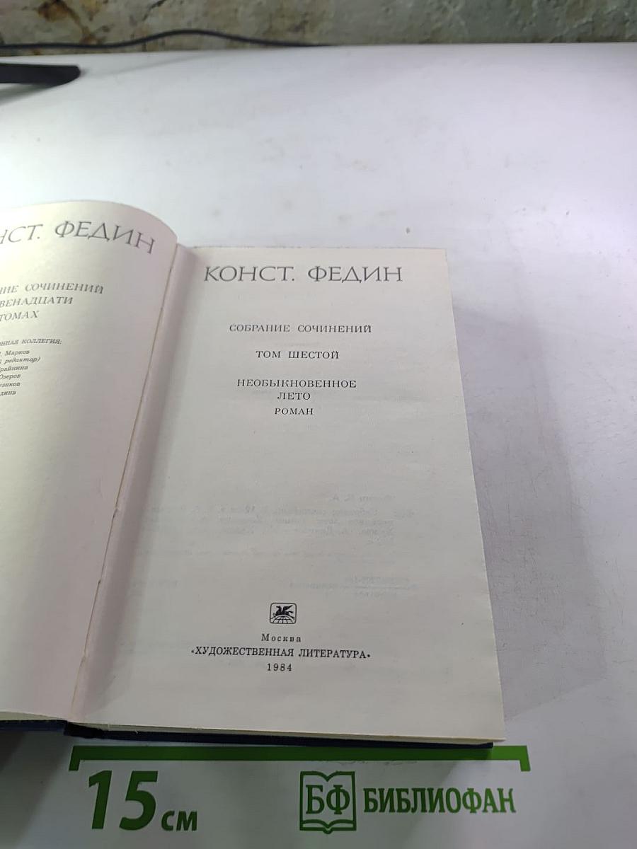 Необыкновенное лето. Роман. Том шестой