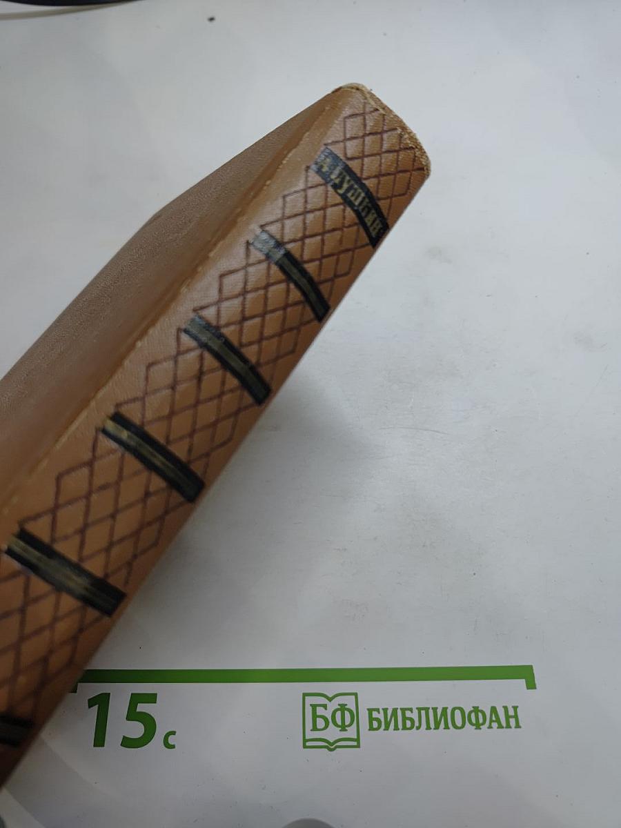 А. С. Пушкин. Собрание сочинений. Том девятый. Письма 1815-1830