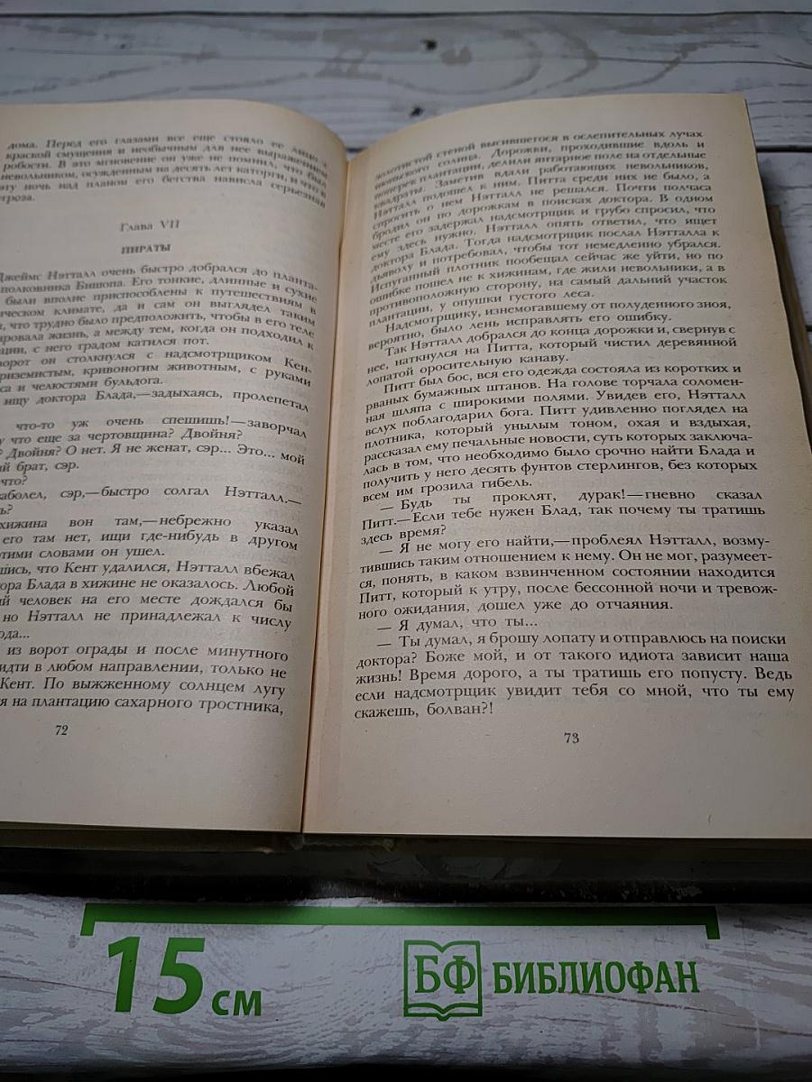 Одиссея капитана Блада. Хроника капитана Блада
