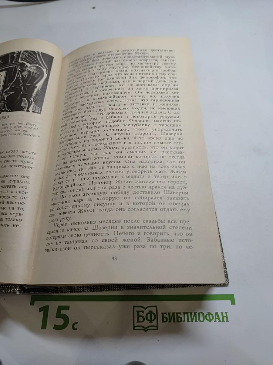 Избранное: Новеллы, Хроника царствования Карла IX