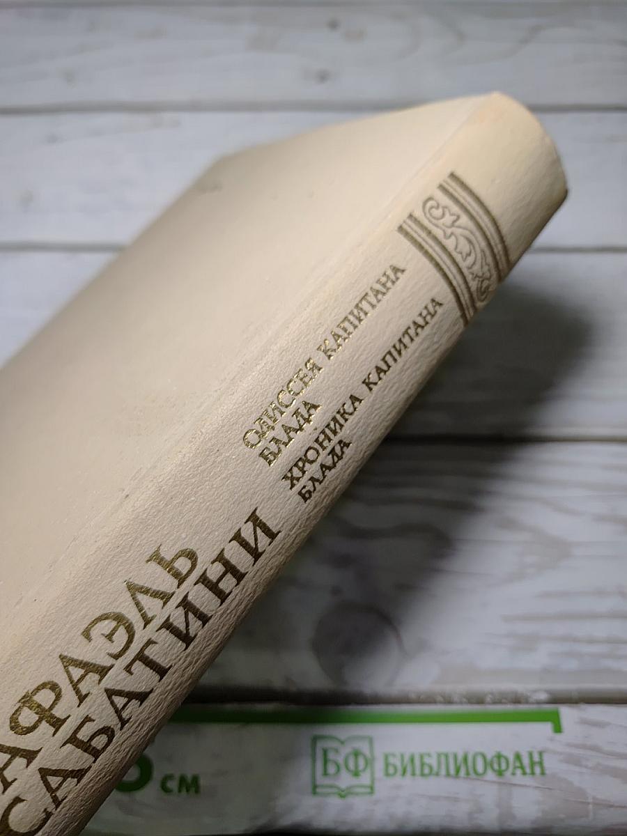 Одиссея капитана Блада. Хроника капитана Блада