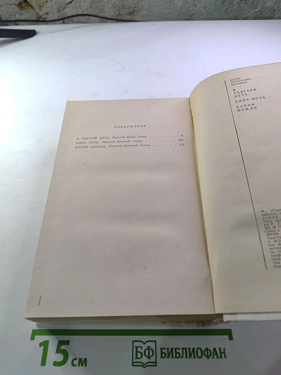 В разгаре лета. Одна ночь. Капли дождя