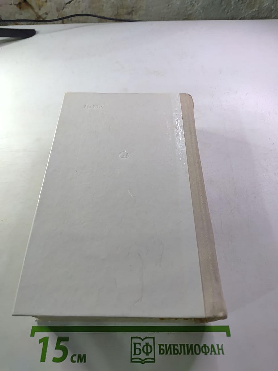 В разгаре лета. Одна ночь. Капли дождя