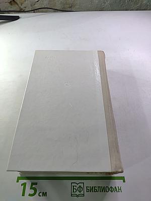 В разгаре лета. Одна ночь. Капли дождя