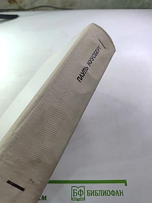 В разгаре лета. Одна ночь. Капли дождя