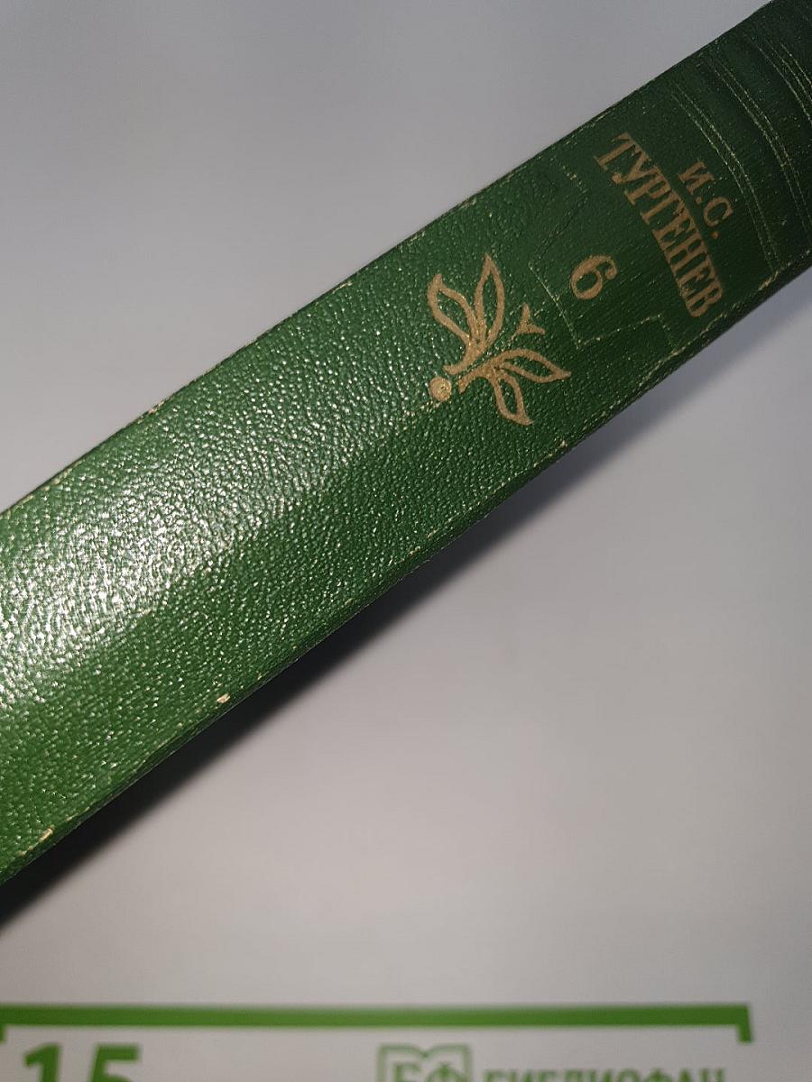 Собрание сочинений. Том шестой. Повести и рассказы 1854-1860 годов