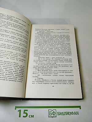 М. Горький. Том девятый. Повести 1907-1909