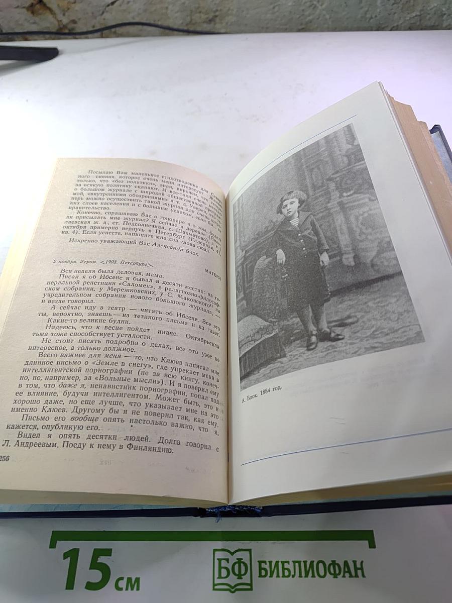 Я лучшей доли не искал... Судьба Александра Блока в письмах, дневниках, воспоминаниях